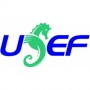 Applying the Golden Ratio for USEF